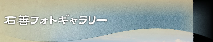石善フォトギャラリー
